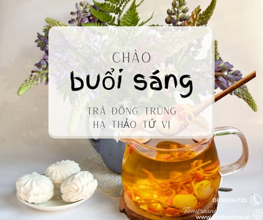 TRÀ ĐÔNG TRÙNG HẠ THẢO TỨ VỊ